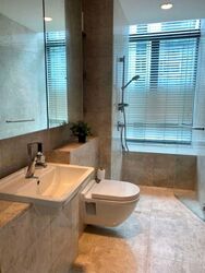 Soleil @ Sinaran (D11), Condominium #594136341